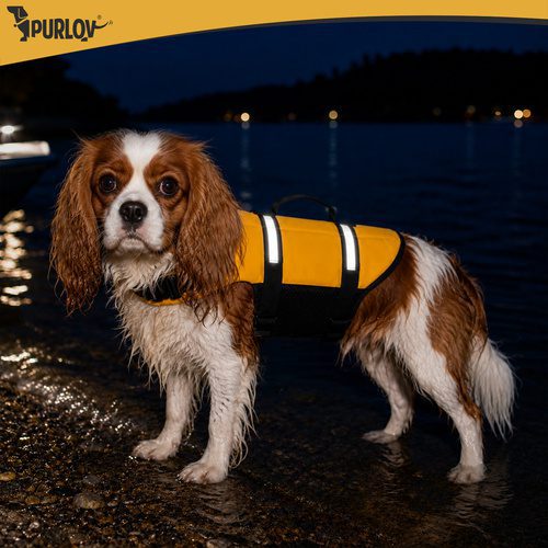 Flytväst för Hund M – Hundflytväst med Handtag, Reflex & Koppelfäste - Bild 5
