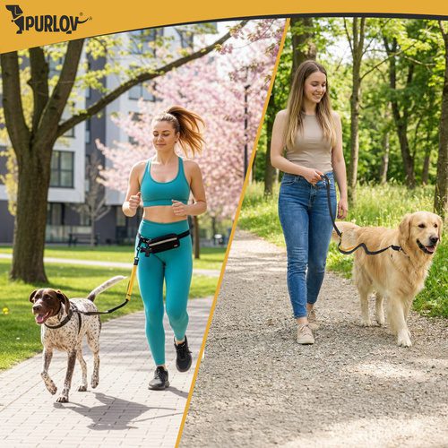 Midjebälte med Koppel – Handsfree Hundkoppel med Stötdämpare & Midjeväska - Bild 5