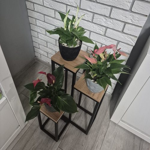 Blomställning 3 Nivåer 67 cm – Växtställ i Metall med Justerbara Fötter - Bild 3