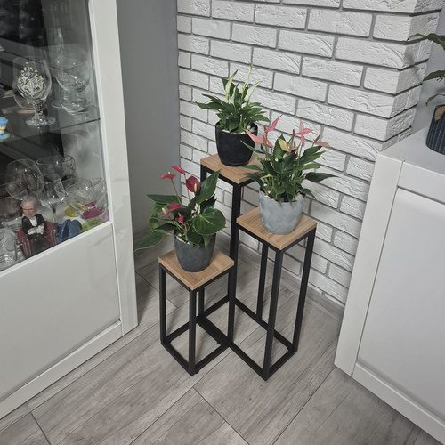 Blomställning 3 Nivåer 67 cm – Växtställ i Metall med Justerbara Fötter - Bild 6