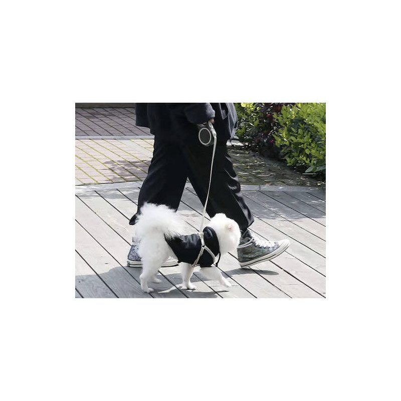 Hundkoppel 5 m – starkt flexikoppel med säker låsmekanism