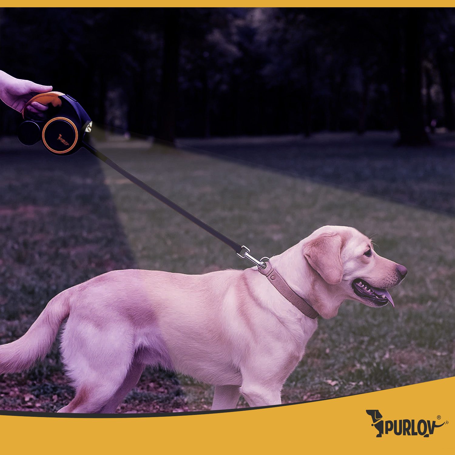 Retractable Hundkoppel 5 m med Inbyggd LED-lampa – För Medelstora Hundar 10–25 kg