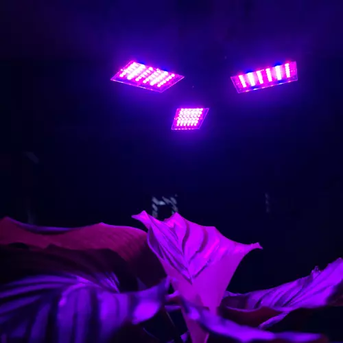 Växtbelysning med 108 LED – Passar E27-sockel