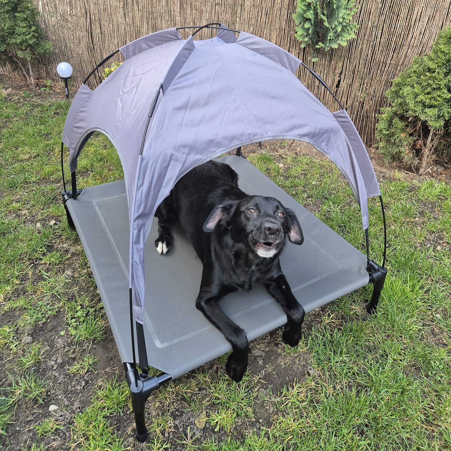 XXL upphöjd hundsäng med solskydd, tak och matta – 90 × 90 × 70 cm