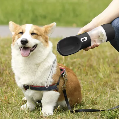 Kombinerad Hundflaska & Vattenskål – 2-i-1 Design