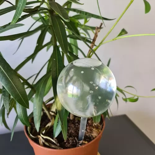 Självbevattning glob 280 ml, 8-pack  för växter / blommor - Bevattningskulor